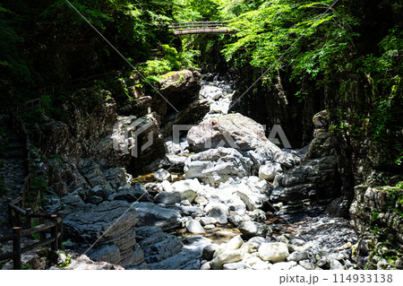 夏の面河渓　空船橋と通行止めの遊歩道1　愛媛県上浮穴郡久万高原町 114933138