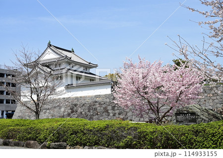 駿府城公園の坤櫓とソメイヨシノ 114933155