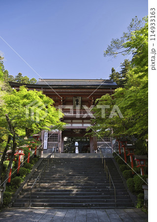 新緑に映える朱の山門 鞍馬寺 縦構図1 新緑に映える朱の山門 鞍馬寺 縦構図1 114933163