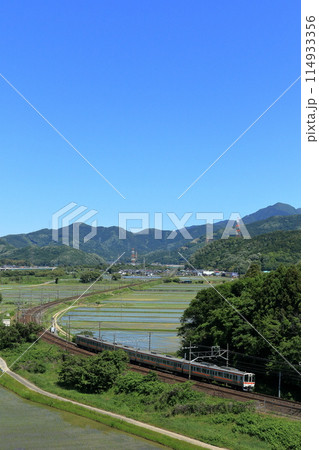 初夏の東海道本線を走る311系列車 114933356