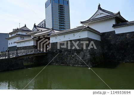 駿府城公園の巽櫓と東御門 114933694