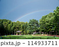 森に架かる二重の虹 114933711