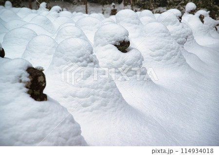 滋賀県　引接寺雪景色 114934018