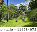 沖縄県の守神の像がある夏の晴れた風景 114934978