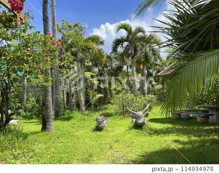 沖縄県の守神の像がある夏の晴れた風景 114934978