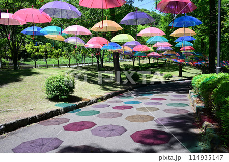 アンブレラスカイ 甘楽総合公園(かんらDEアンブレラスカイ) アンブレラスカイ 甘楽総合公園(かんらDEアンブレラスカイ) 114935147