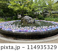 美しい花弁が溢るる噴水 114935329