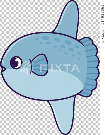 Cute cartoon sunfish drawing Cute cartoon sunfish drawing 114935663