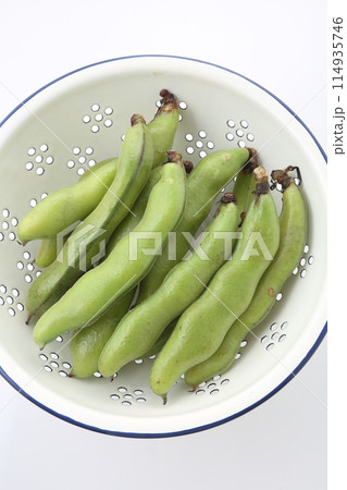 ソラマメ ソラマメ 114935746