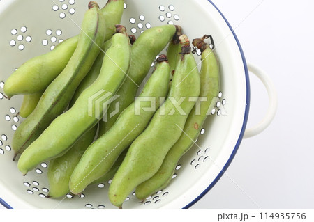 ソラマメアップ 114935756