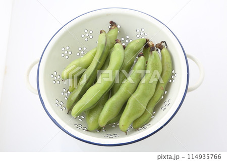 ソラマメ ソラマメ 114935766