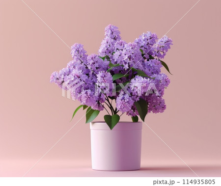 Lilac in a plant pot and a light colored background Lilac in a plant pot and a light colored background 114935805