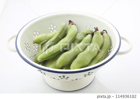ソラマメ ソラマメ 114936182