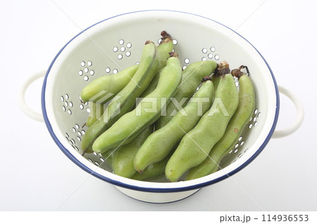 ソラマメ 114936553