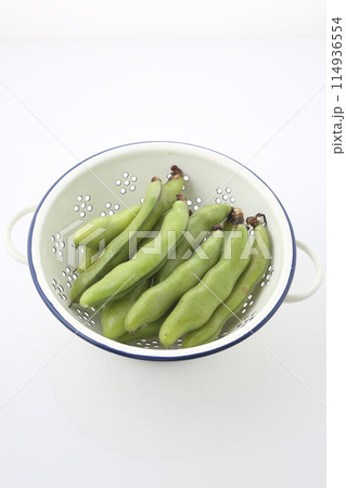 ソラマメ ソラマメ 114936554