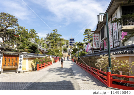 兵庫県/中山寺の参道(2024年4月13日撮影) 兵庫県/中山寺の参道(2024年4月13日撮影) 114936840
