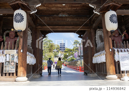 兵庫県／中山寺の山門と参道（2024年4月13日撮影） 114936842