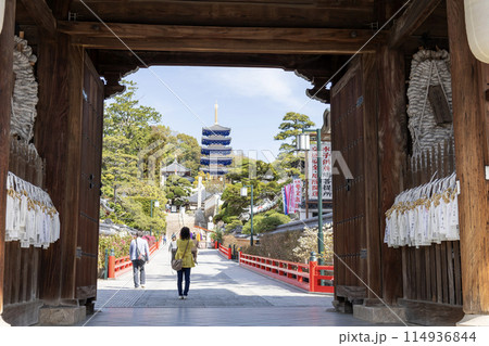兵庫県/中山寺の山門と参道(2024年4月13日撮影) 兵庫県/中山寺の山門と参道(2024年4月13日撮影) 114936844