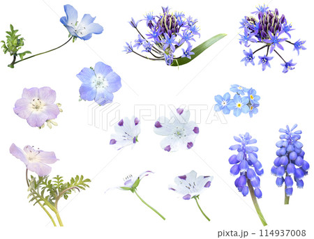切り抜き素材セットー春の花5 切り抜き素材セットー春の花5 114937008