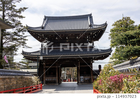 兵庫県/中山寺の山門と参道(2024年4月13日撮影) 兵庫県/中山寺の山門と参道(2024年4月13日撮影) 114937023