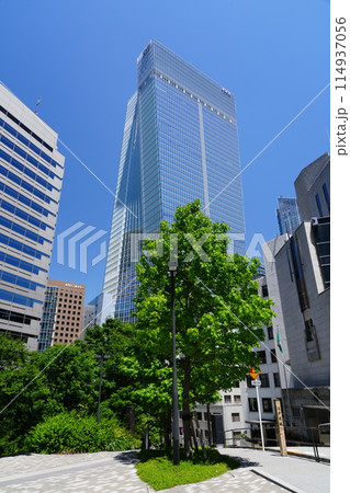 東京 虎ノ門 江戸見坂 東京 虎ノ門 江戸見坂 114937056