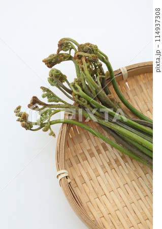 食材ざるの上のワラビ 食材ざるの上のワラビ 114937308