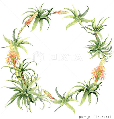 A circular frame with green aloe A circular frame with green aloe 114937331
