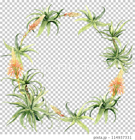 A circular frame with green aloe A circular frame with green aloe 114937331