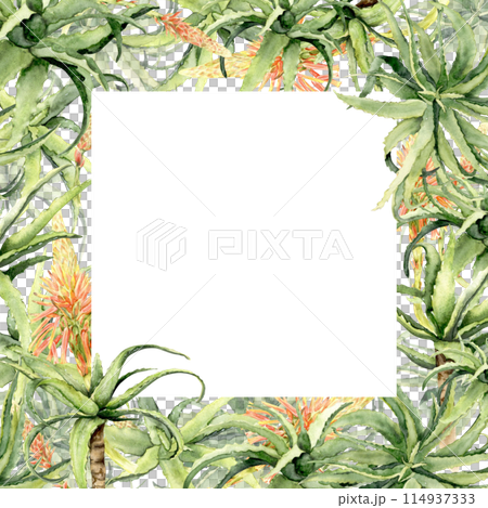 aloe vera square frame aloe vera square frame 114937333