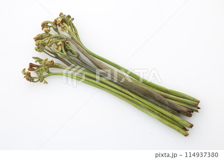 春の山菜わらび 114937380