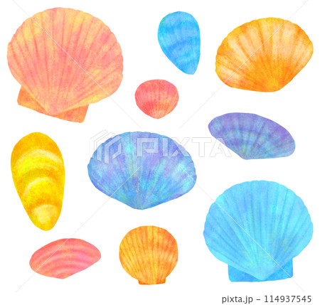 かわいい二枚貝のイラストセット 114937545