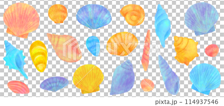 Cute seashell illustration set Cute seashell illustration set 114937546