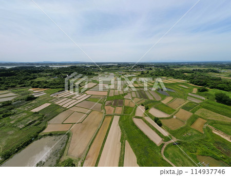 田植えが終わった棚田 空撮 田植えが終わった棚田 空撮 114937746
