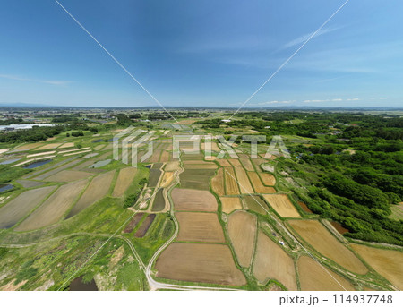 田植えが終わった棚田 空撮 田植えが終わった棚田 空撮 114937748