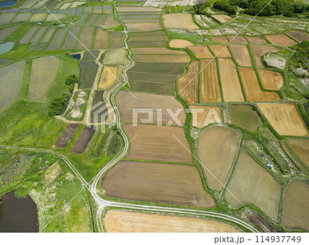 田植えが終わった棚田 空撮 田植えが終わった棚田 空撮 114937749