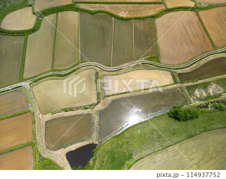 田植えが終わった棚田　空撮 114937752