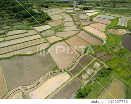 田植えが終わった棚田 空撮 田植えが終わった棚田 空撮 114937756