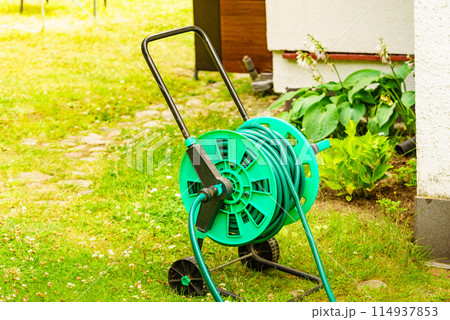 Garden hose for watering plants in garden Garden hose for watering plants in garden 114937853