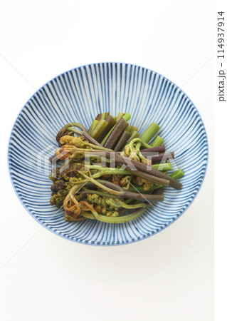 蕨のおひたし 114937914
