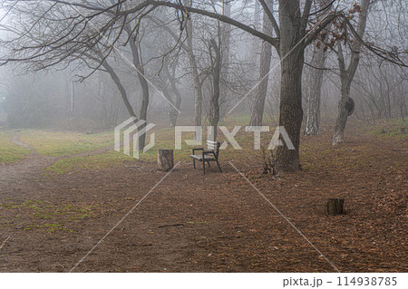 Winter misty landscape of Tbilisi's downtown Winter misty landscape of Tbilisi's downtown 114938785