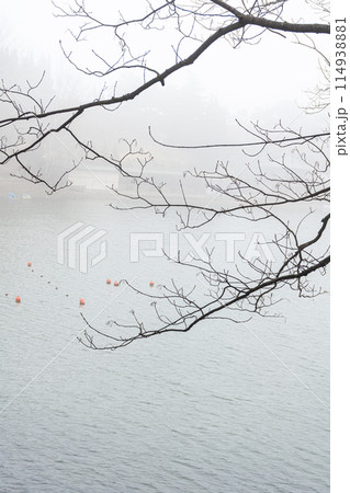 Foggy morning in the Tbilisi, Georgia 114938881
