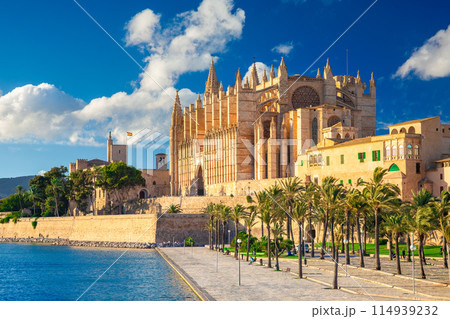 The Cathedral of Santa Maria of Palma and Parc del Mar near, Majorca, Spain 114939232