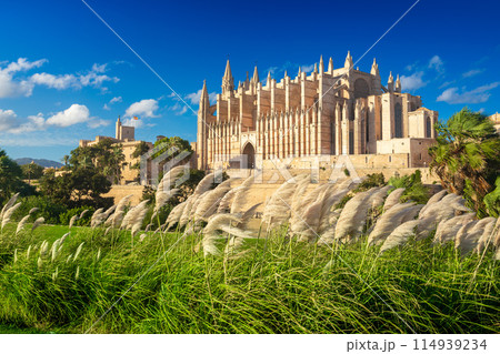 The Cathedral of Santa Maria of Palma and Parc del Mar near, Majorca, Spain 114939234