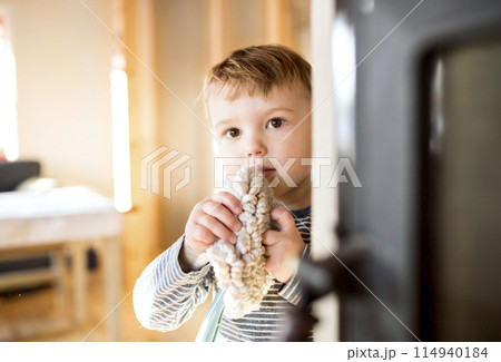 Little boy helping mother with hosehold chores, dusting cleaning their house. Weekly chores, weekend activities. Little boy helping mother with hosehold chores, dusting cleaning their house. Weekly chores, weekend activities. 114940184