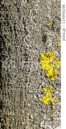 Realistic vector illustration of ginkgo biloba tree bark. Tree bark background Realistic vector illustration of ginkgo biloba tree bark. Tree bark background 114940296
