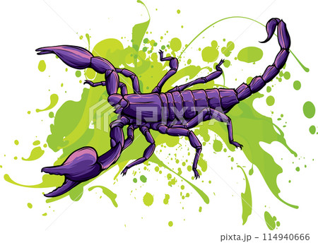 draw colored animal scorpion vector illustration design 114940666