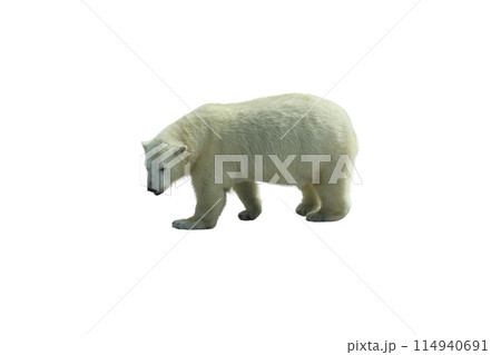 Park bench isolated on a white background 114940691