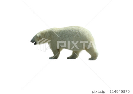 Park bench isolated on a white background 114940870