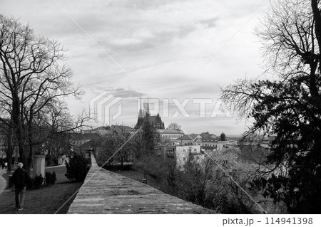 The Cathedral of St. Peter and Paul in the city of Brno in the Czech Republic viewed from Spilberk Castle. The Cathedral of St. Peter and Paul in the city of Brno in the Czech Republic viewed from Spilberk Castle. 114941398
