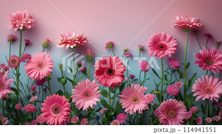 Pink Flowers on Pink Wall 114941551